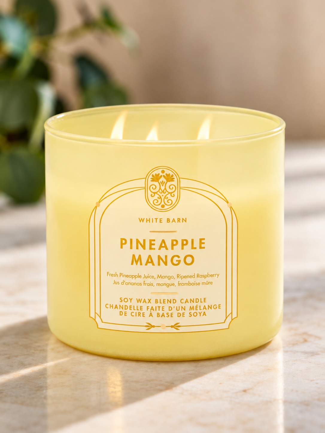 画像1: 【Bath&BodyWorks】3-wickキャンドル（14.5oz）：パイナップルマンゴー